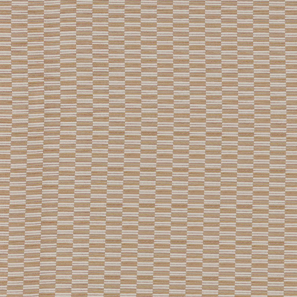 AVELA