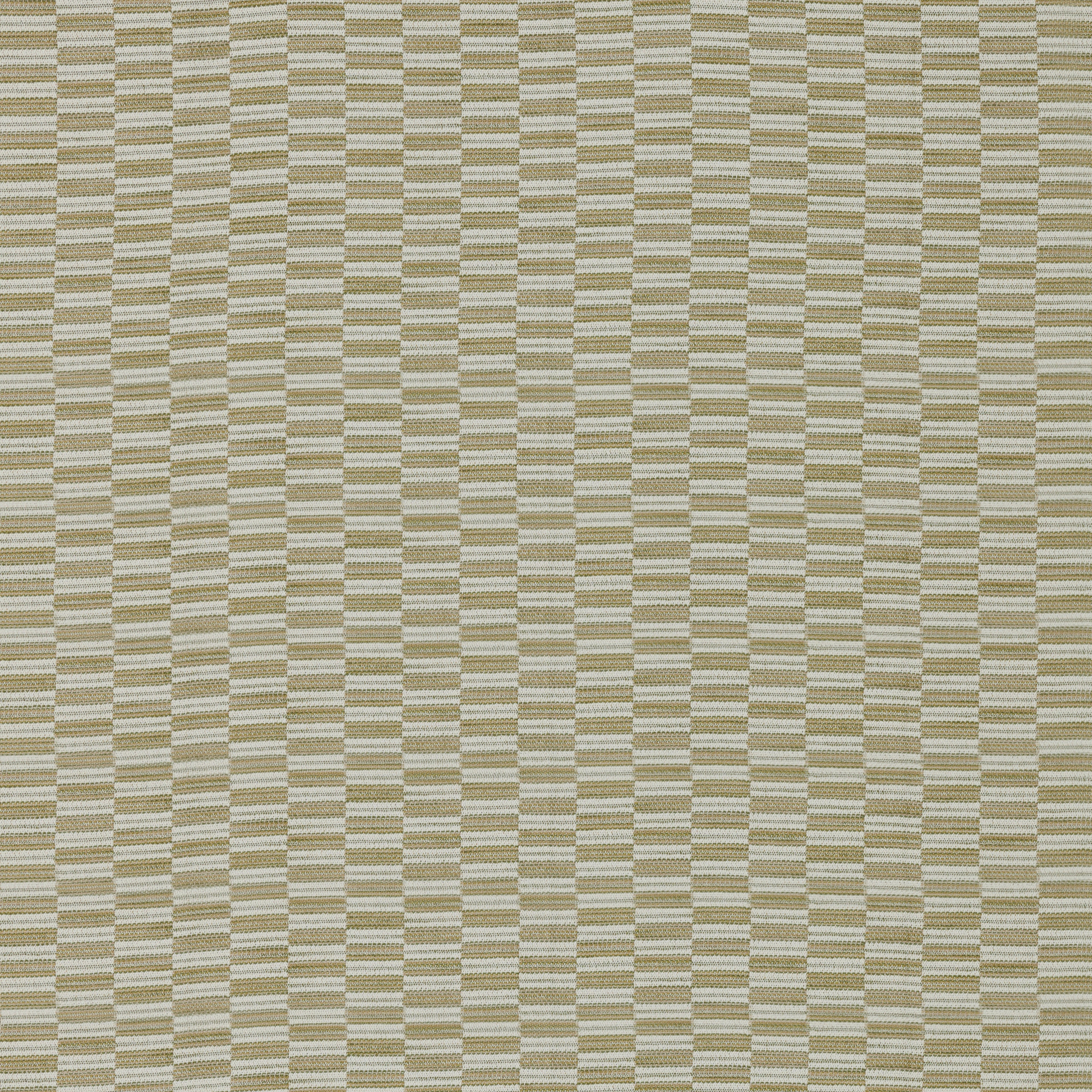 AVELA