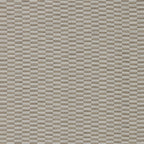 AVELA