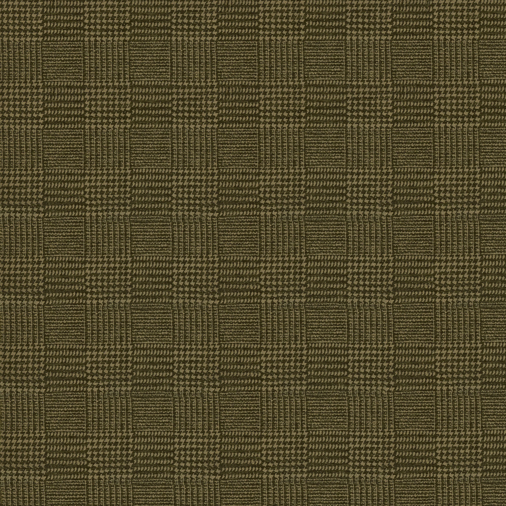 Terrain