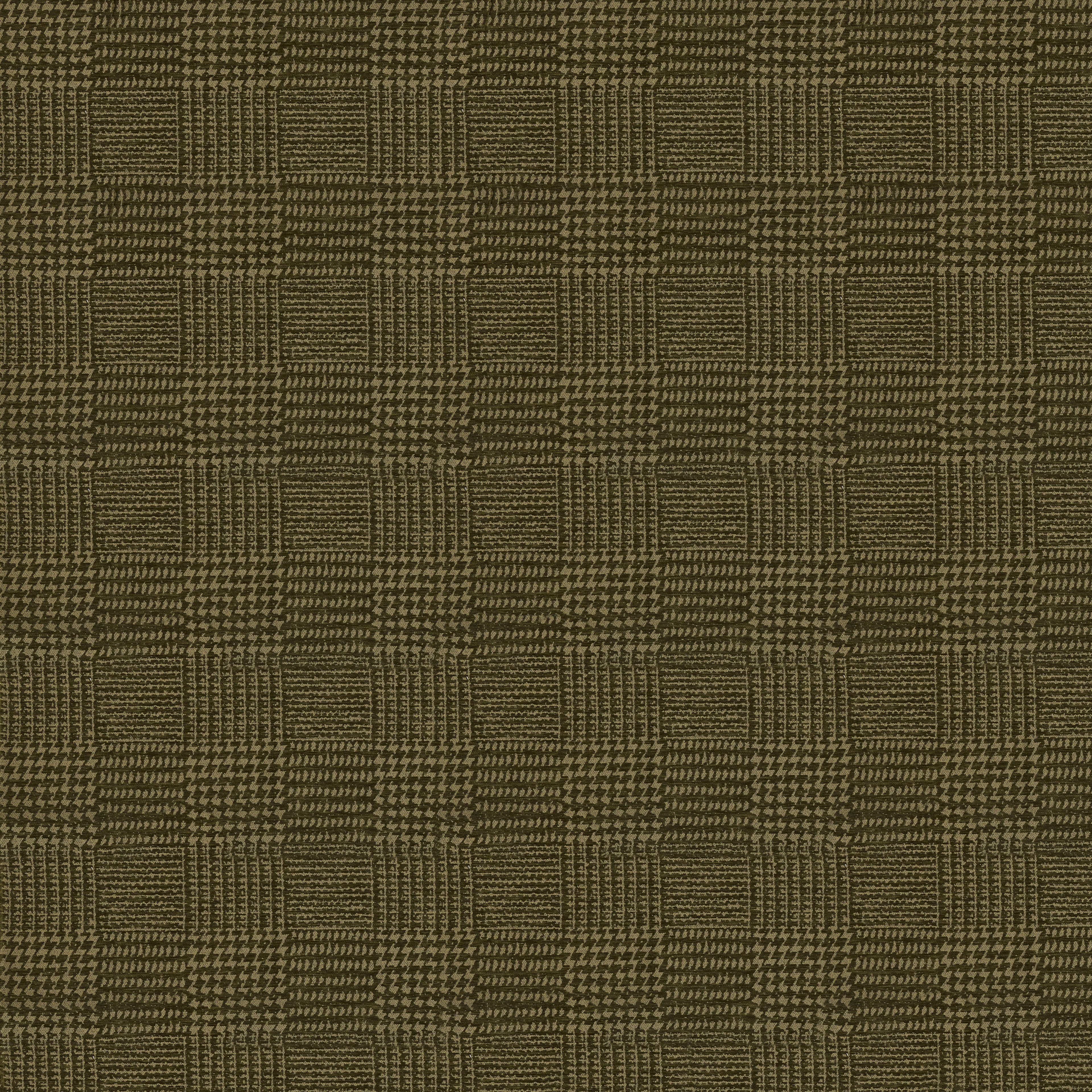 Terrain