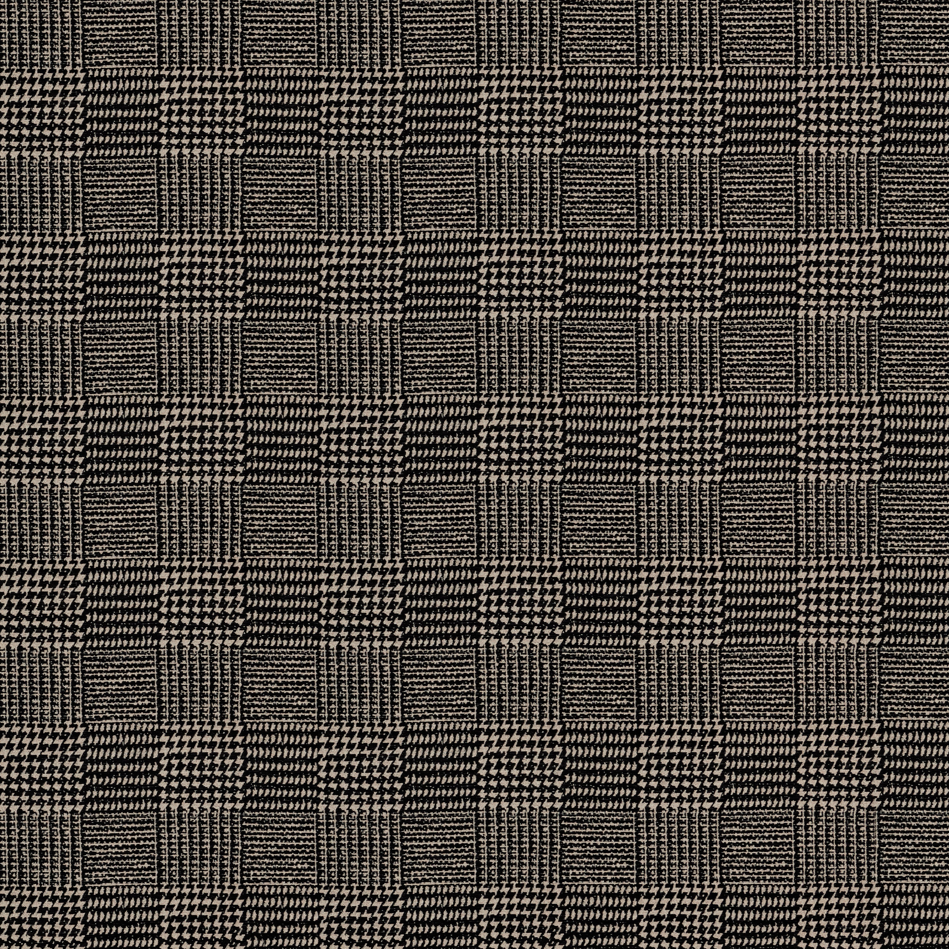 Terrain