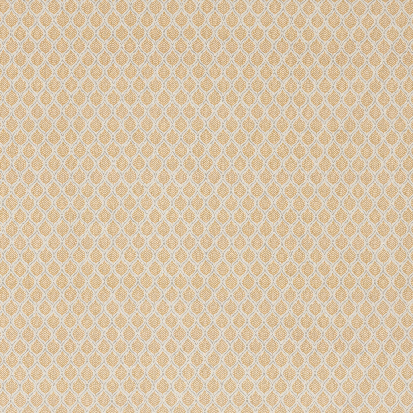 Marcel
