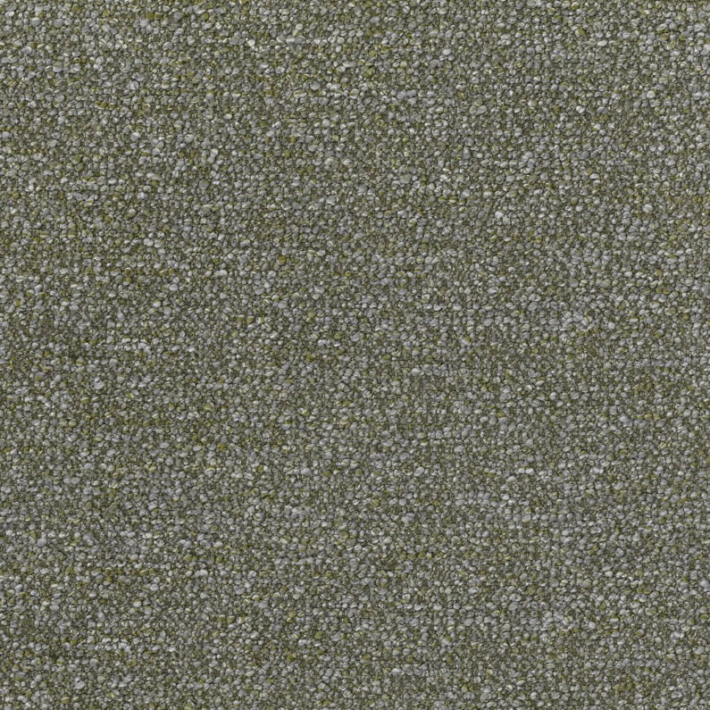 Tundra