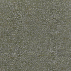Tundra