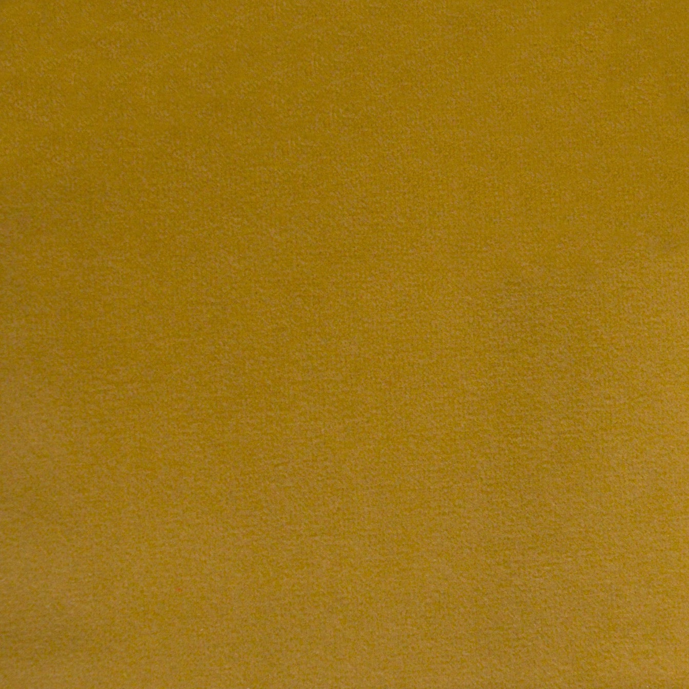Novara